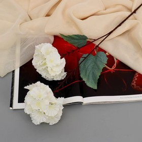 Цветы искусственные "Гортензия Розита" 60 см, белый