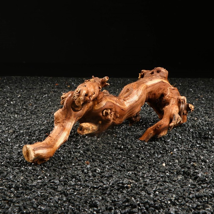 Коряга для аквариума «Лоза виноградная», 20 - 30 см - Фото 1