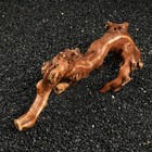 Коряга для аквариума «Лоза виноградная», 20 - 30 см - Фото 4