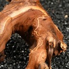 Коряга для аквариума «Лоза виноградная», 20 - 30 см - Фото 6