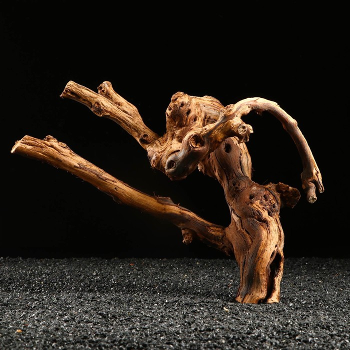 Коряга для аквариума «Лоза виноградная», 30 - 40 см - Фото 1