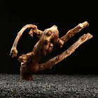 Коряга для аквариума «Лоза виноградная», 30 - 40 см - Фото 4