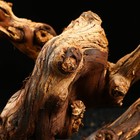 Коряга для аквариума «Лоза виноградная», 30 - 40 см - Фото 4