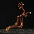 Коряга для аквариума «Лоза виноградная», 40 - 50 см - Фото 2