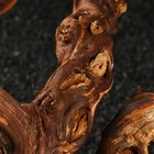 Коряга для аквариума «Лоза виноградная», 40 - 50 см - Фото 3