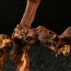 Коряга для аквариума «Лоза виноградная», 40 - 50 см - Фото 4