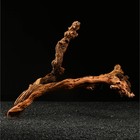 Коряга для аквариума «Лоза виноградная», 50 - 60 см - Фото 1