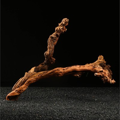 Коряга для аквариума «Лоза виноградная», 50 - 60 см