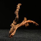 Коряга для аквариума «Лоза виноградная», 50 - 60 см - Фото 2