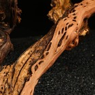 Коряга для аквариума «Лоза виноградная», 50 - 60 см - Фото 3