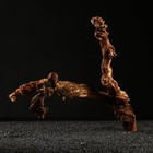 Коряга для аквариума «Лоза виноградная», 50 - 60 см - Фото 4