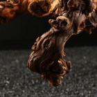 Коряга для аквариума «Лоза виноградная», 50 - 60 см - Фото 5