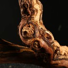Коряга для аквариума «Лоза виноградная», 50 - 60 см - Фото 6