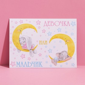 Конверт подарочный «Мальчик или девочка», 15 × 11 см