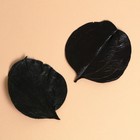 Сухие листья, набор 2 шт., размер 1 шт: 6,5 × 7 см - Фото 1