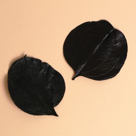 Сухие листья, набор 2 шт., размер 1 шт: 6,5 × 7 см