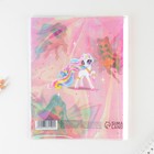 Обложка для тетрадей и школьного дневника «Феи», 34,7 х 21,1 см. (комплект 5 шт) - фото 21553876