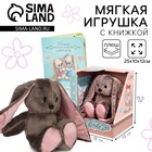Мягкая игрушка «Зайка Li», с книгой, девочка, заяц, 25 см - Фото 1
