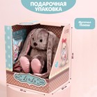 Мягкая игрушка «Зайка Li», с книгой, девочка, заяц, 25 см - фото 4965274