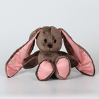 Мягкая игрушка «Зайка Li», с книгой, девочка, заяц, 25 см - Фото 6