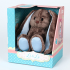 Мягкая игрушка «Зайка Lu», с книгой, 25 см - Фото 8