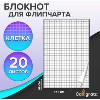 Блокнот для флипчарта в клетку Calligrata, 67.5 х 98 см, 20 листов, 80 г/м2, белизна 92%