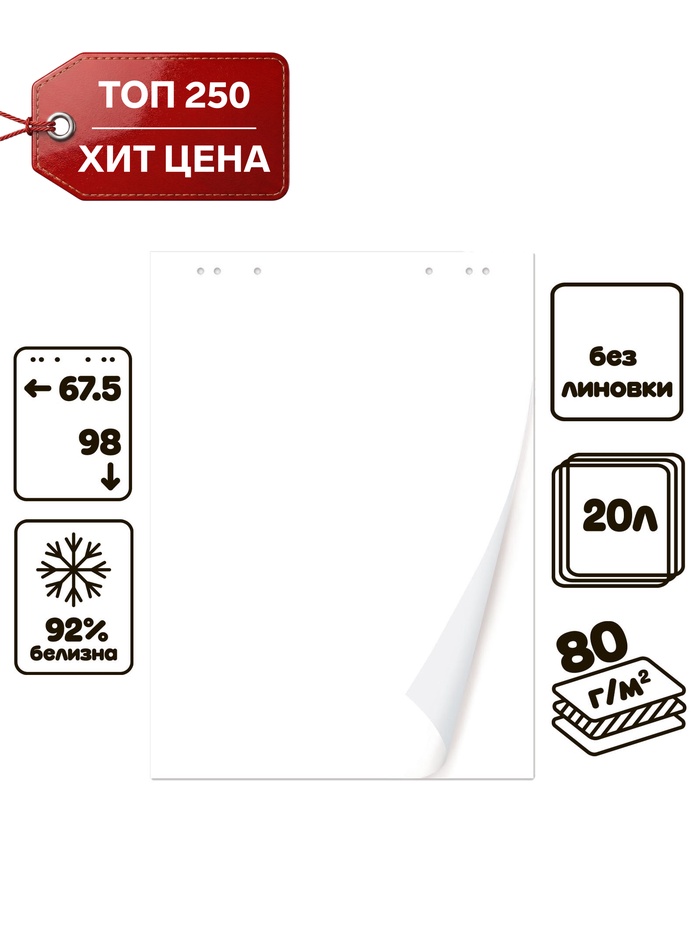 Блокнот для флипчарта Calligrata, 67.5×98 см, 20 листов, 80 г/м², белизна 92%, белый - Фото 1