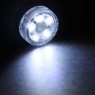 Светильник светодиодный Torso, автомобильный, 5 LED, d 3 см, белый - фото 9678447