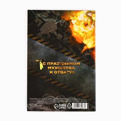 Подарочный набор «23 февраля», ручка пластик с фигурным клипом и стикеры