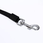 Рулетка "Гонка", 3 м, вес животного до 15 кг, бело-красно-зелёная - фото 24440196