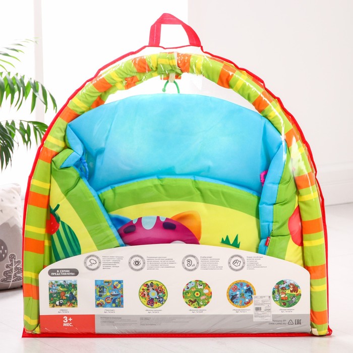 Развивающий коврик «Весёлые малыши», с дугами 53676