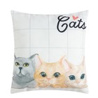Подарочный набор "Cats" подушка-секрет, 40х40 см и аксессуары - Фото 2