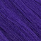 SOFT DREADS Канекалон однотонный, гофрированный, 60 см, 100 гр, цвет фиолетовый(#MR-PURLE) - фото 6581338