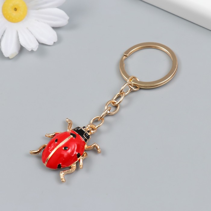 брелки металлический с эмалью. брелок с эмалью. цепочки брелок лп радуга. брелок из металла с эмалью. брелок с эмалью.