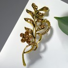 Брошь «Ветвь» с цветком, цвет коричневый в чернёном золоте - Фото 1
