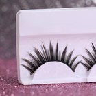 Ресницы накладные «Будь яркой», цвет чёрный 7533207