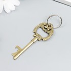 Брелок металл "Ключ с пышными листьями" МИКС 8х3 см (комплект 12 шт) - фото 21555841