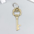 Брелок металл "Ключ с пышными листьями" МИКС 8х3 см (комплект 12 шт) - фото 21555842