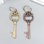 Брелок металл "Ключ с пышными листьями" МИКС 8х3 см (комплект 12 шт) - фото 21555843