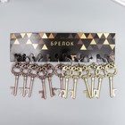 Брелок металл "Ключ с пышными листьями" МИКС 8х3 см (комплект 12 шт) - фото 21555844