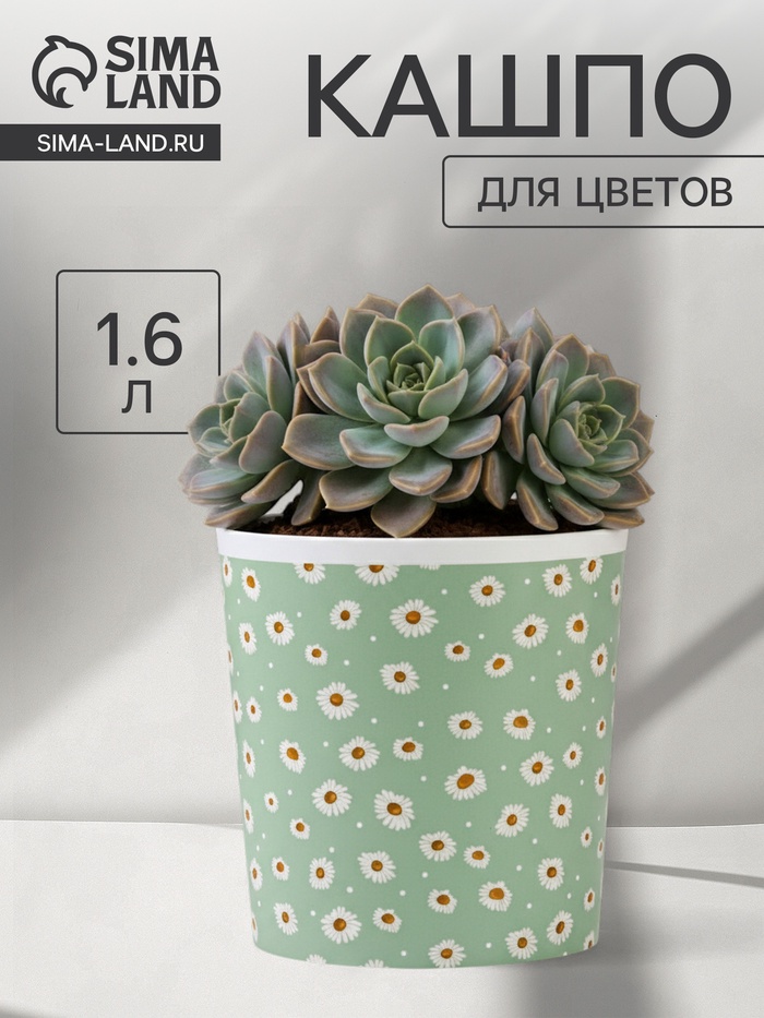 Кашпо для цветов «Ромашки», 1.6 л, d=14 см, h=14 см, пластиковое - Фото 1