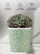 Кашпо для цветов «Ромашки», 1.6 л, d=14 см, h=14 см, пластиковое 7415876 - фото 319941073