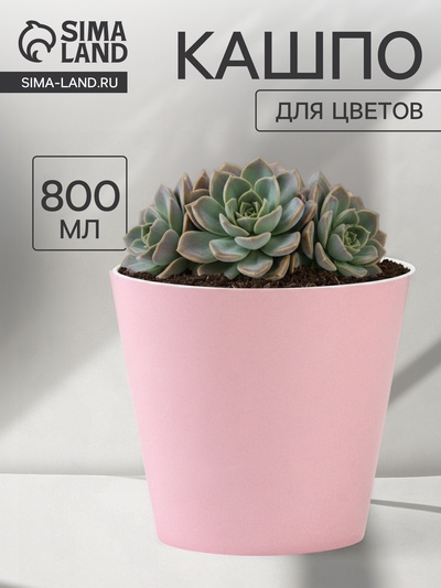 Кашпо для цветов «Цвет», 800 мл, d=12 см, h=11 см, пластиковое