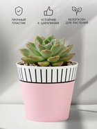 Кашпо для цветов «Розовый», 800 мл, d=11 см, h=12 см, пластиковое 7415882 - фото 319941085