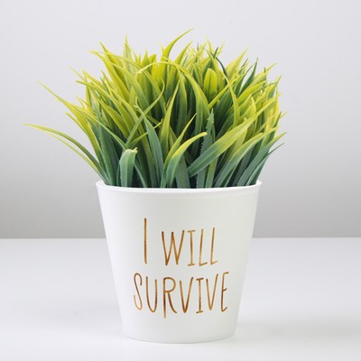 Кашпо для цветов «Я выживу», 800 мл, d=12 см, h=11 см, пластиковое
