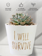 Кашпо для цветов «Я выживу», 800 мл, d=11 см, h=12 см, пластиковое 7415883 - фото 319941088