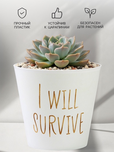 Кашпо для цветов «Я выживу», 800 мл, d=12 см, h=11 см, пластиковое