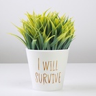 Кашпо для цветов «Я выживу», 800 мл, d=11 см, h=12 см, пластиковое 7415883 - фото 319941089