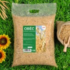 Семена Овес, Мой Выбор, 5 кг - Фото 1