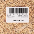 Семена Овес, Мой Выбор, 5 кг - Фото 4